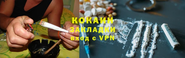 гидра Белокуриха
