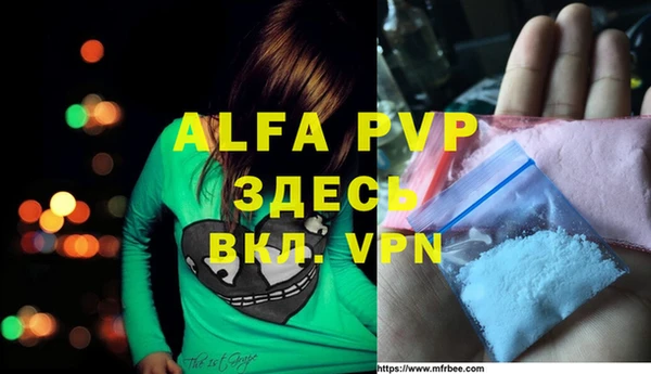 гидра Белокуриха