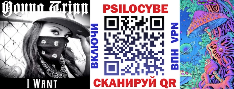 закладки  Горно-Алтайск  Псилоцибиновые грибы GOLDEN TEACHER 