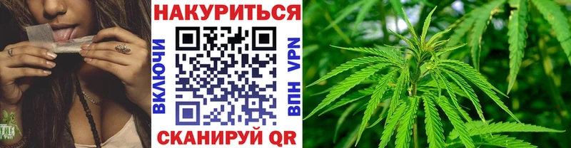 МАРИХУАНА сатива  Горно-Алтайск 